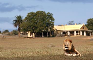 Gorah Elephant Camp Lodge 